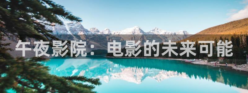 梵高的星空电影