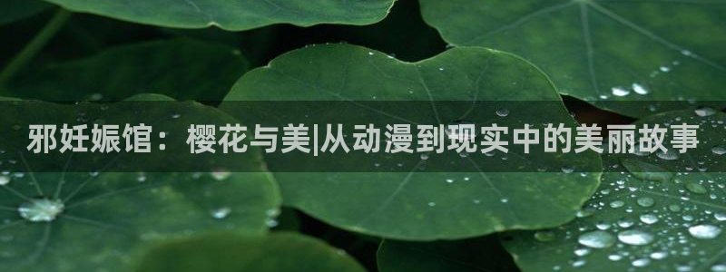 蜜桃视频在线观看影院