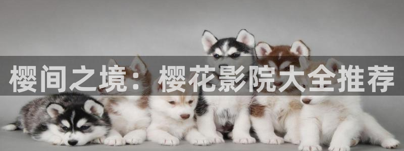 星空影视在线播放