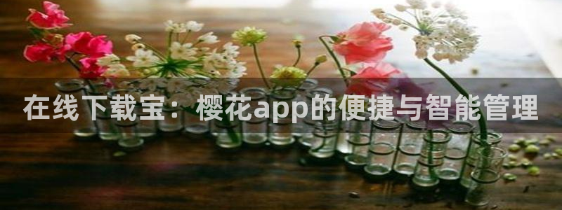 蜜桃视频在线免费看电影