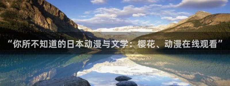 星空影视网官网