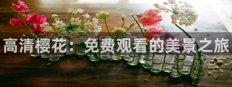 斗罗大陆漫画完整免费观看星空影视