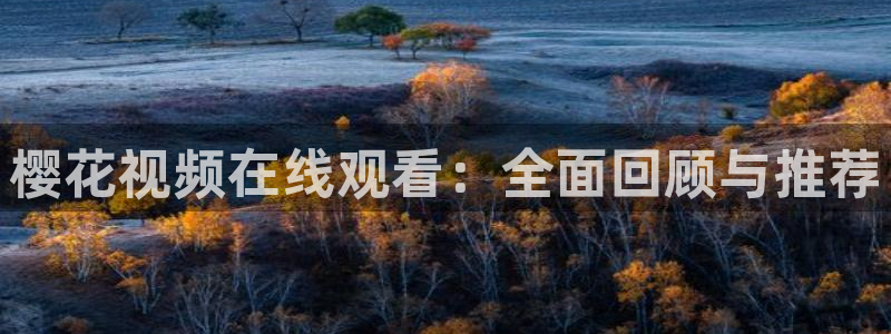 星空视频下载
