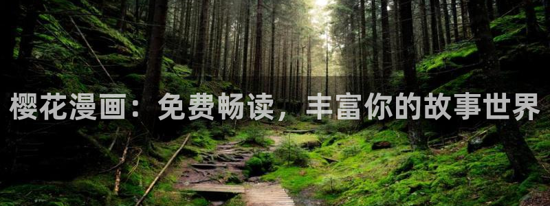 星空在线观看免费高清电影