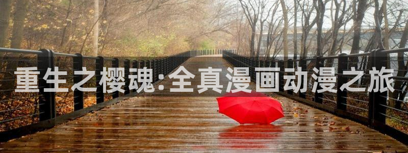 星空影视网