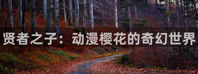 蜜桃视频电影在线观看免费高清炽道