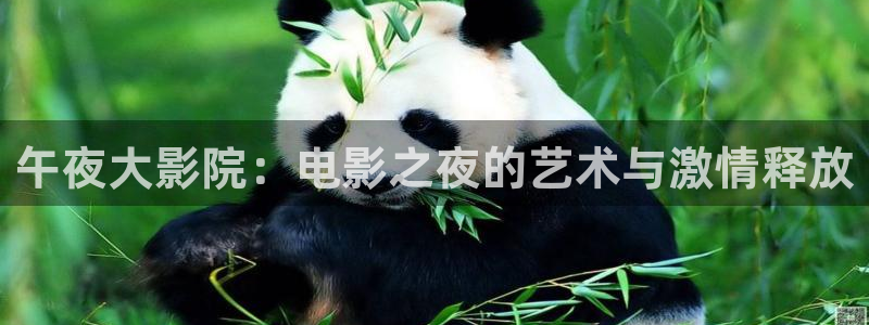 影视厅星空顶图片