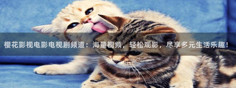 卡通星空