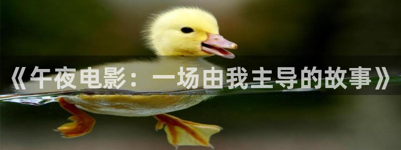 蜜桃视频2026
