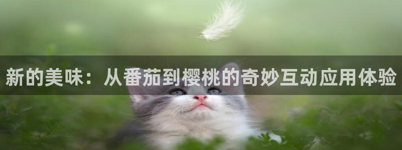 星空的图片