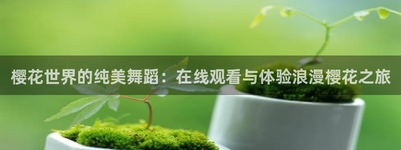 蜜桃视频在线观看全集免费