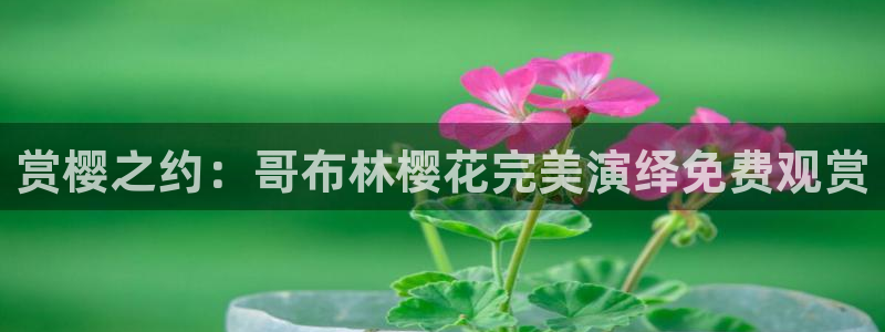 潜伏星空影视