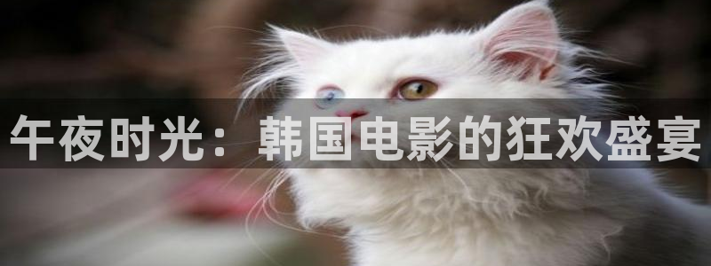 蜜桃视频七根心简