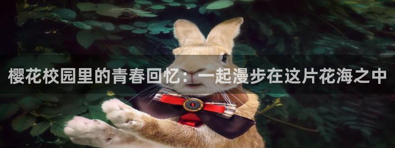 哈哈哈哈哈第二季免费观看完整版蜜桃视频