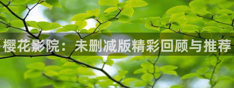 星空影视下载免费