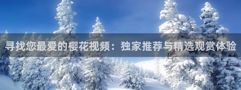 星空无痕免费视频观看
