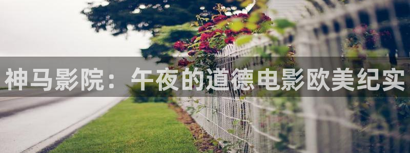 电影网 星空