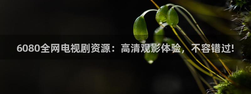 蜜桃视频高清电影好看的电视剧繁花