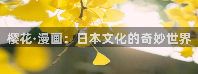 星空视频电影在线视频观看免费