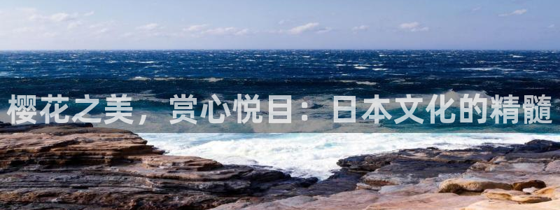 蜜桃视频ios