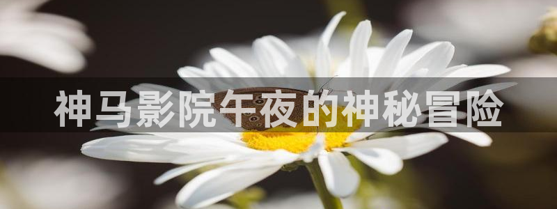 星空影视频