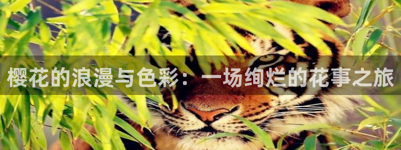 蜜桃视频动漫