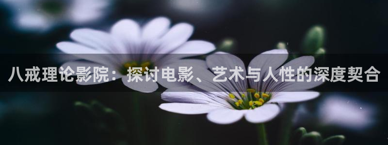 星空传媒免费观看电影