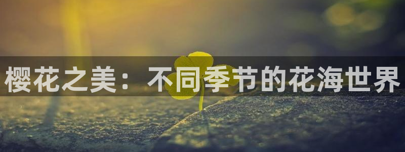 蜜桃视频免费看