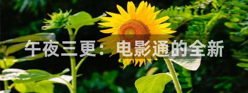 蜜桃视频在线观看青柠电视剧免费