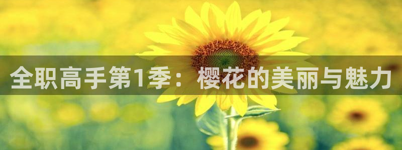 星空影视官网下载