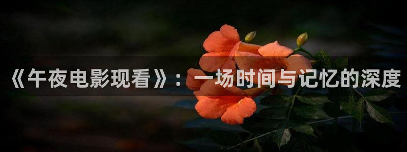 蜜桃视频理论