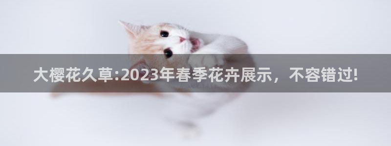 蜜桃视频免费观看电视剧电影最新
