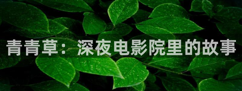 蜜桃视频电影电视剧全集免费